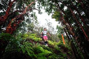 BIB: 
                            <button type="button" onclick="openModal(26201606)" class="btn btn-primary btn-sm float-right btn-popup" data-toggle="modal" data-target=".modal-high-quality">
                        <i class="fas fa-shopping-cart"></i> Add to Cart
                    </button>
                                            <button type="button" onclick="isThisMe(26201606, true)" class="btn btn-success btn-sm float-right btn-popup btn-isme hidden" data-toggle="tooltip" data-placement="bottom" title="นี่คือรูปของคุณใช่ไหม คลิกที่นี่เพื่อเอาเข้าอัลบั้ม">
                        <i class="fas fa-plus"></i> Add to album
                    </button>
                    <button type="button" onclick="isThisMe(26201606, false)" class="btn btn-warning btn-sm float-right btn-popup btn-isnotme hidden">
                        <i class="fas fa-ban"></i> Remove from album
                    </button>